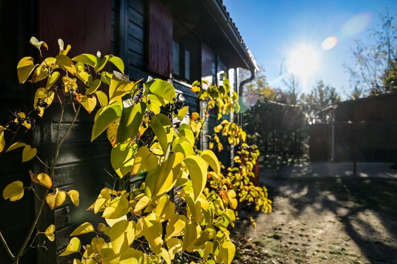 Casa Rural La Canadiense Log Cabin Vendégház Buenache de la Sierra Kültér fotó